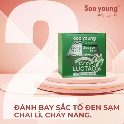 TẨY KỲ LỤC TẢO SOO YOUNG 250G - Image 3